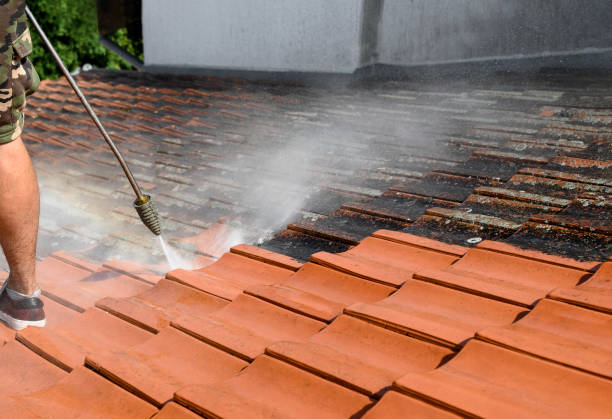 Best House Pressure Washing  in West Hollywood, CA